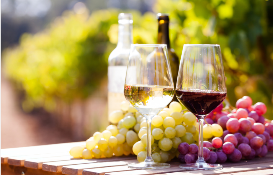 赤ワインと白ワインの違いって何？意外と語れないワインの特徴を解説